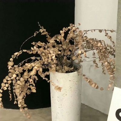 Furry插画构图思路Furry群